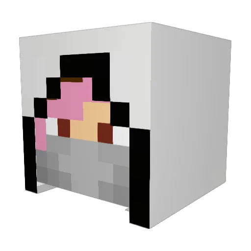 tasteoftea Minecraft avatar head, 3D render