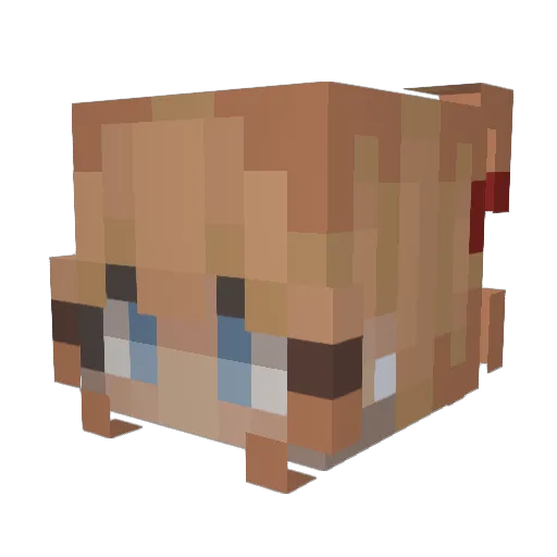 tastyfries Minecraft avatar head, 3D render