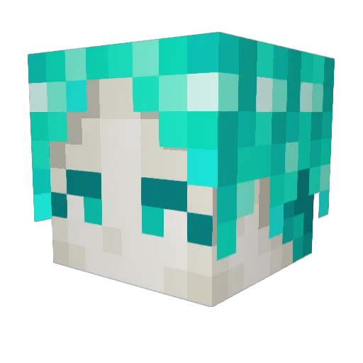 tastystarbits Minecraft avatar head, 3D render