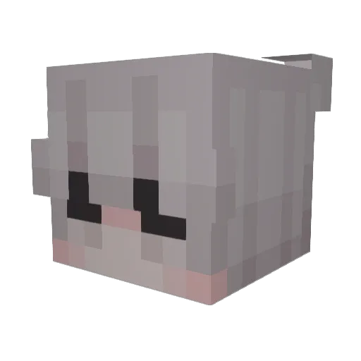 tastywlll Minecraft avatar head, 3D render