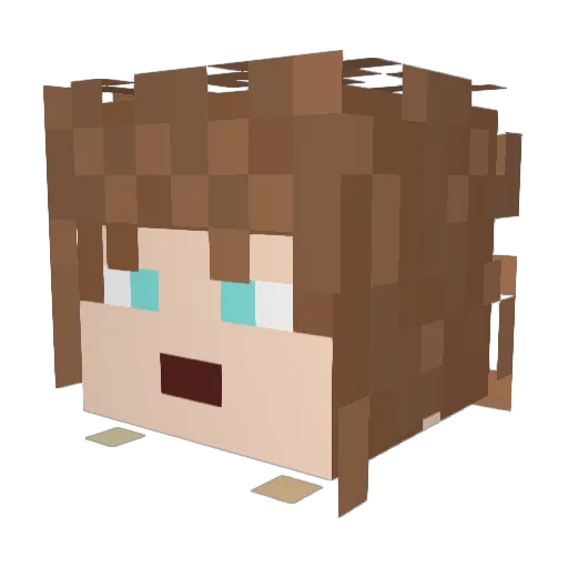 tatalote Minecraft avatar head, 3D render