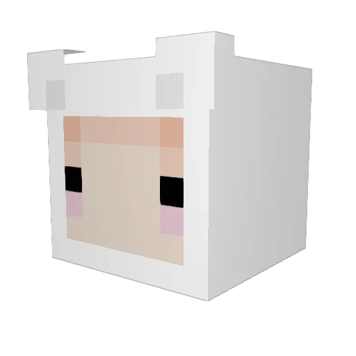 tatan319 Minecraft avatar head, 3D render