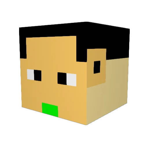 tategishi Minecraft avatar head, 3D render