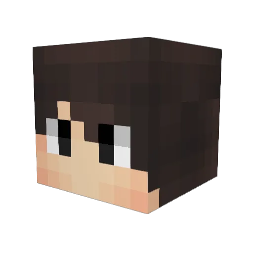 tatertotslut Minecraft avatar head, 3D render