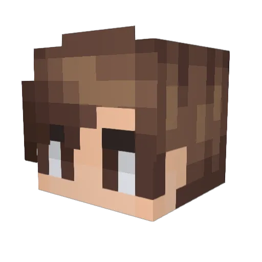 tatetillo007 Minecraft avatar head, 3D render