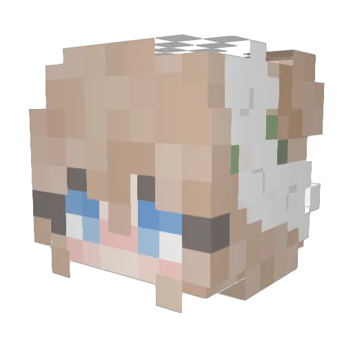 tateybug Minecraft avatar head, 3D render