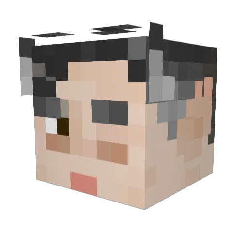tatgubbins Minecraft avatar head, 3D render