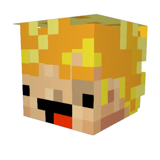 taticalkat Minecraft avatar head, 3D render