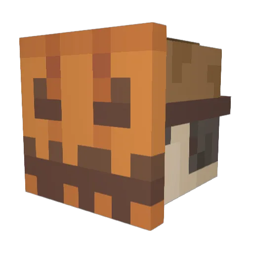 tatignolin Minecraft avatar head, 3D render