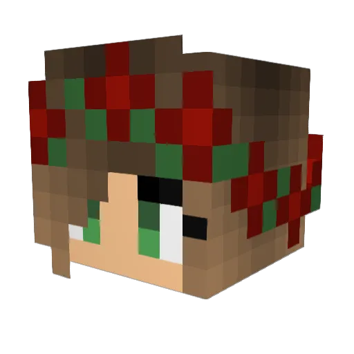 tator06 Minecraft avatar head, 3D render
