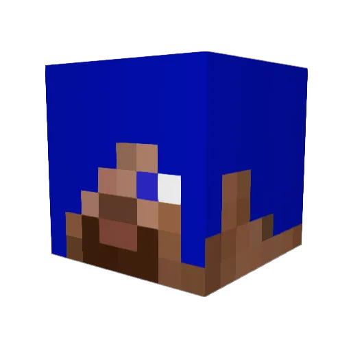 tatsu19 Minecraft avatar head, 3D render