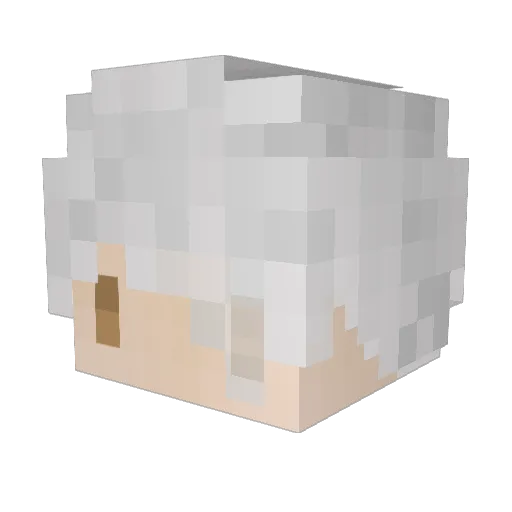 tatsu4867 Minecraft avatar head, 3D render