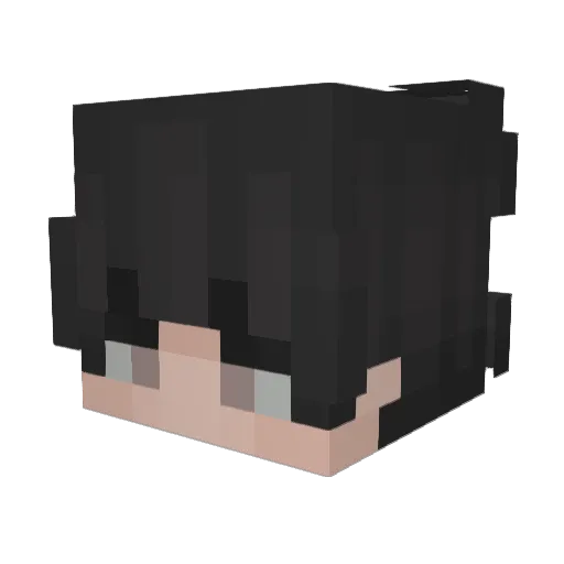 tatsu84 Minecraft avatar head, 3D render