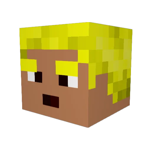 tatteredboon17 Minecraft avatar head, 3D render