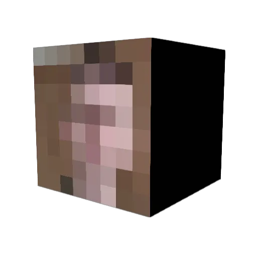 tattierbark777 Minecraft avatar head, 3D render