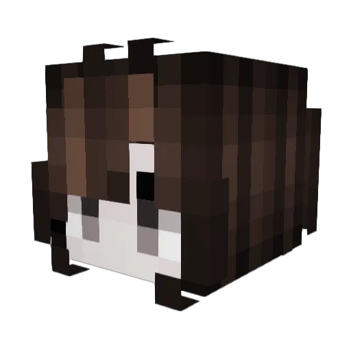 tattoedheartt Minecraft avatar head, 3D render