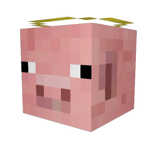 tatubuta Minecraft avatar head, 3D render