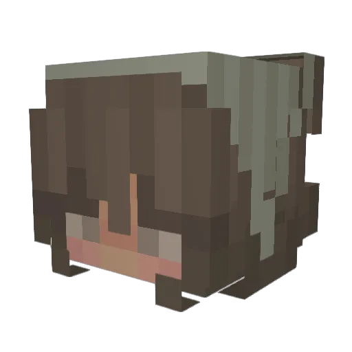 tatum_3 Minecraft avatar head, 3D render