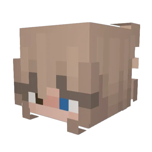 tatumtbh Minecraft avatar head, 3D render