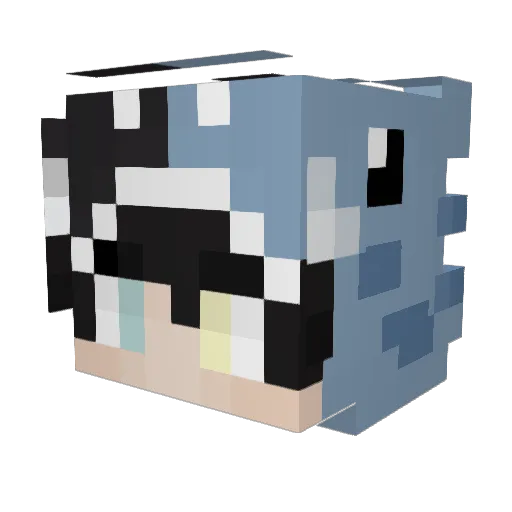 tatusza Minecraft avatar head, 3D render