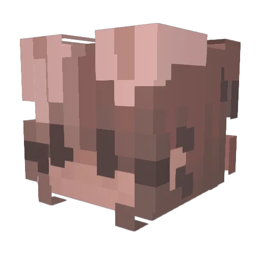 taube__ Minecraft avatar head, 3D render