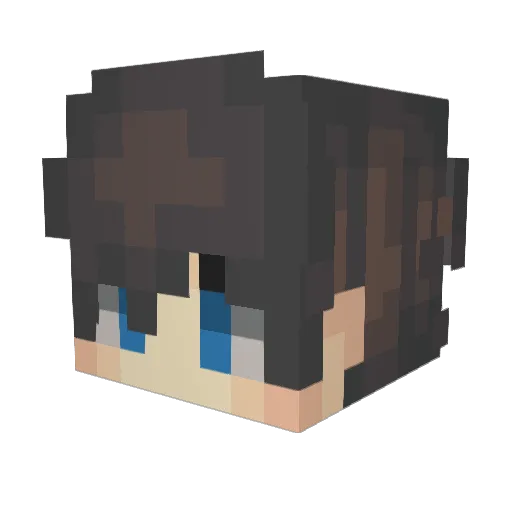 tauer_89 Minecraft avatar head, 3D render