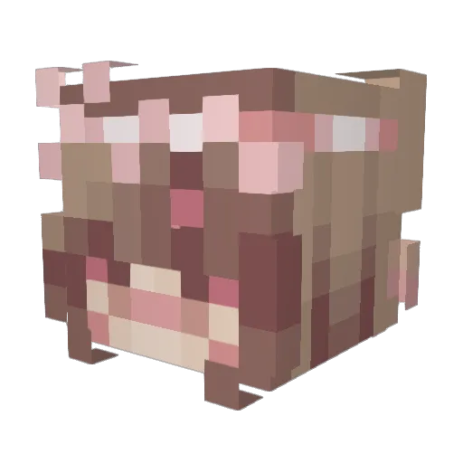taugei Minecraft avatar head, 3D render