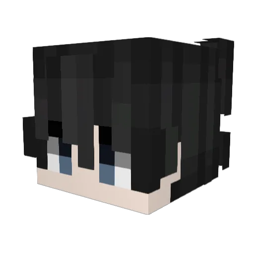 tauger Minecraft avatar head, 3D render