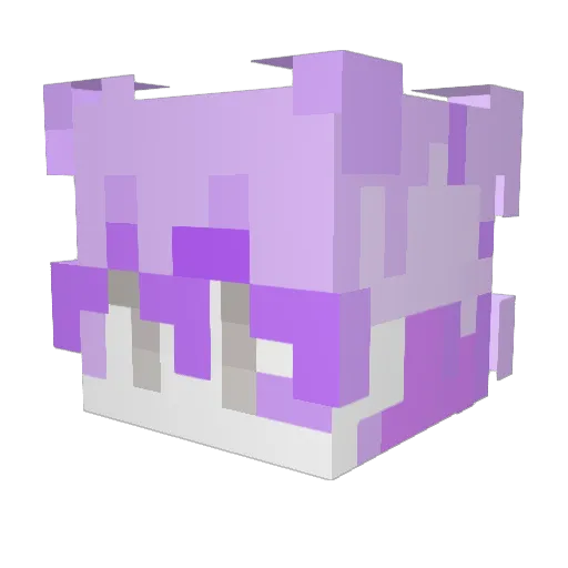 tauntedx2 Minecraft avatar head, 3D render