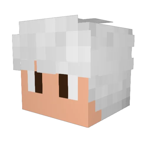 taviin9 Minecraft avatar head, 3D render