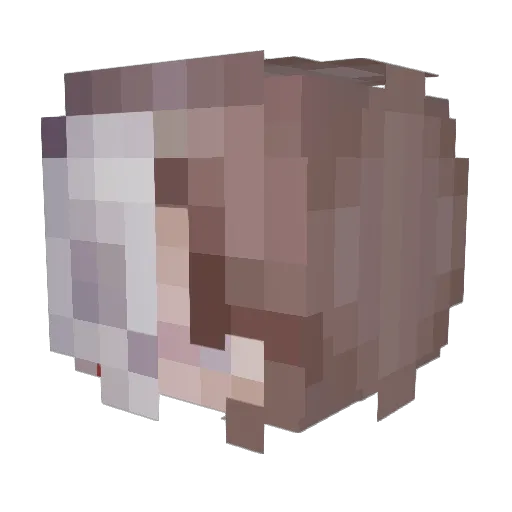 tawnydream Minecraft avatar head, 3D render