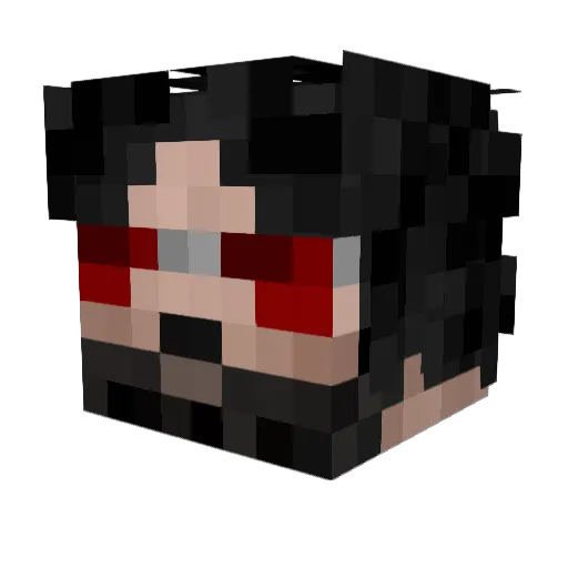 tax__evader_ Minecraft avatar head, 3D render
