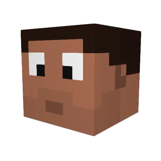 taxidriveer Minecraft avatar head, 3D render