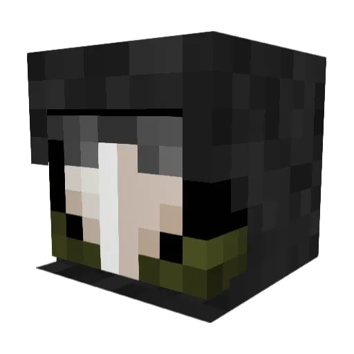 taxman00 Minecraft avatar head, 3D render