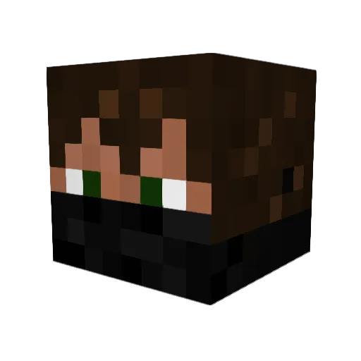 taxofit Minecraft avatar head, 3D render