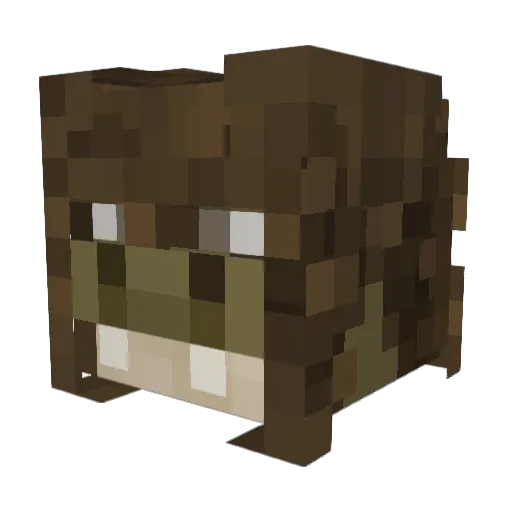 taxro Minecraft avatar head, 3D render