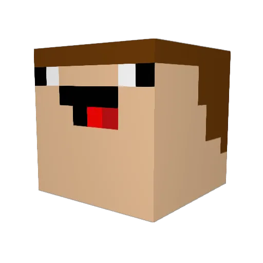 taxxxin Minecraft avatar head, 3D render