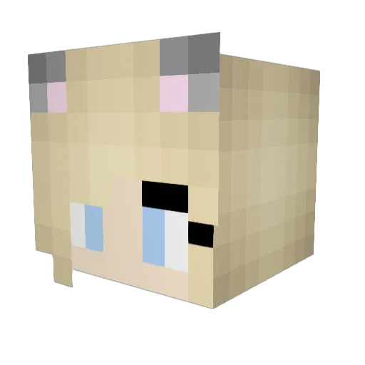 tay513tay Minecraft avatar head, 3D render