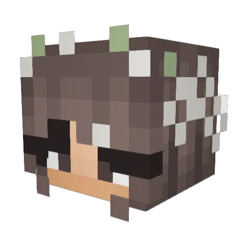 tay_izzy Minecraft avatar head, 3D render