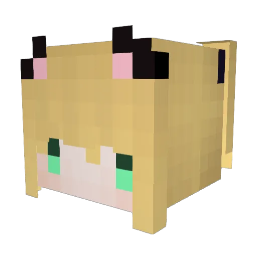 tayayuyu2003 Minecraft avatar head, 3D render