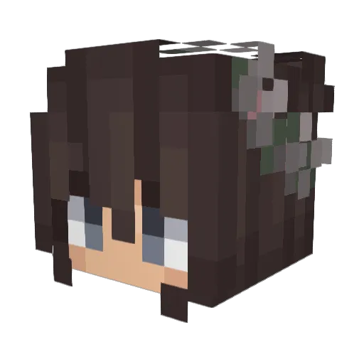 taybro99 Minecraft avatar head, 3D render