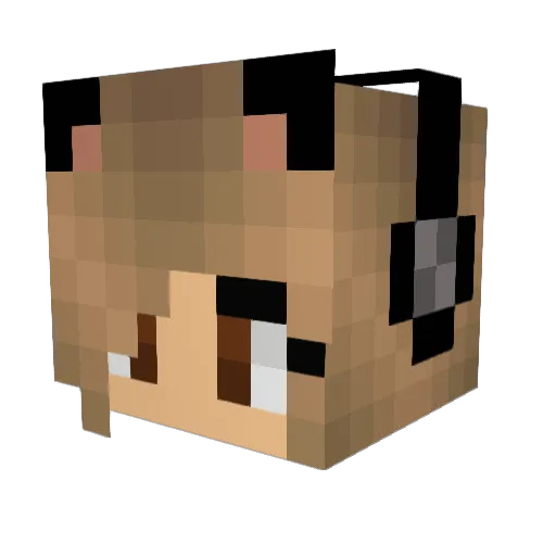 tayeslay Minecraft avatar head, 3D render