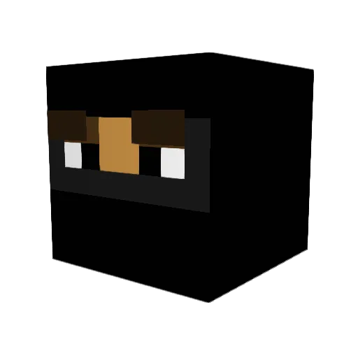 tayker13 Minecraft avatar head, 3D render
