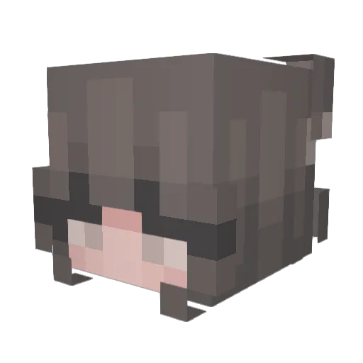 tayleiaa Minecraft avatar head, 3D render