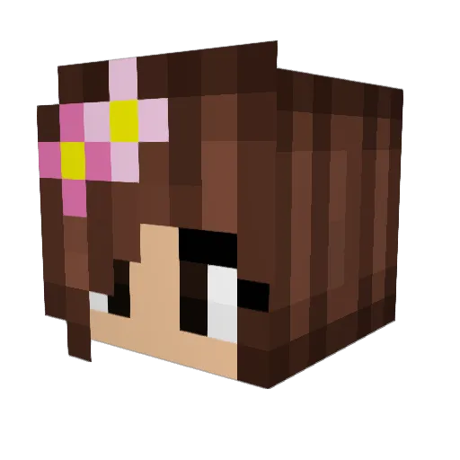 taylercarroll Minecraft avatar head, 3D render