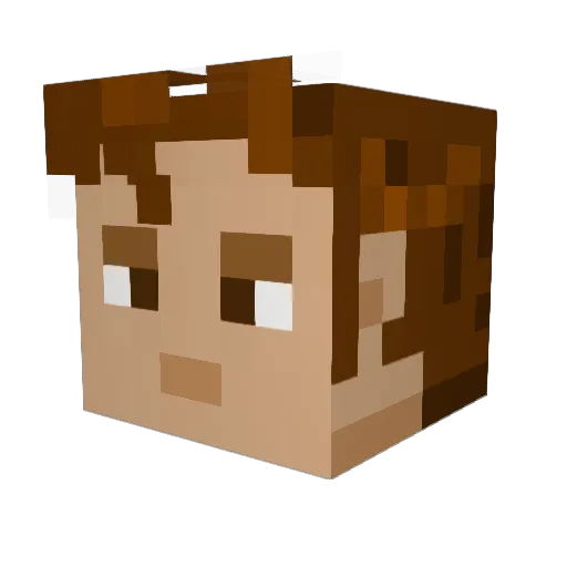 taylor2591 Minecraft avatar head, 3D render