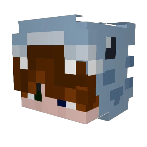 taylorann_ Minecraft avatar head, 3D render