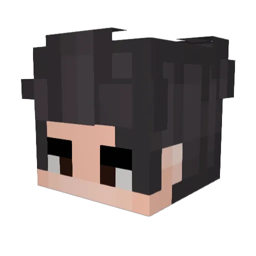 taylordfed_ Minecraft avatar head, 3D render