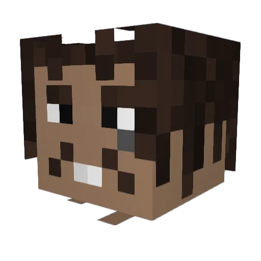 taylorguzman13 Minecraft avatar head, 3D render