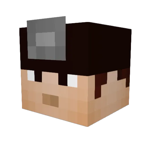 taylorhawkins Minecraft avatar head, 3D render